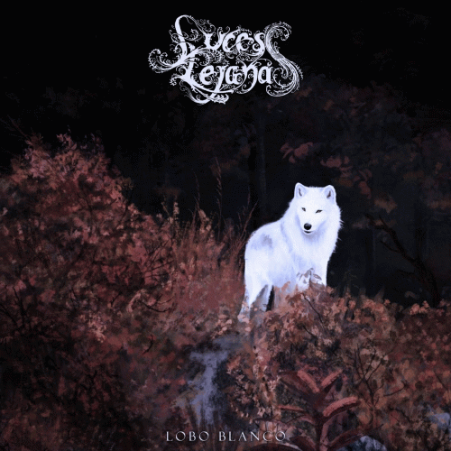 Luces Lejanas : Lobo Blanco